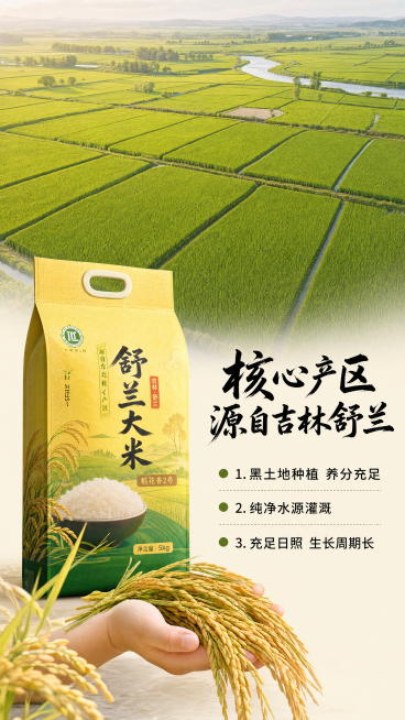 [第2屏] 产地优势展示-吉林舒兰核心产区舒兰大米。
[氛围/风格] 自然原生态风，真实东北稻田实景，充满生机，清新治愈。
[元素布局] 画面上半部分采用满铺的航拍舒兰稻田实景，层层叠叠的绿色稻田延伸预览效果