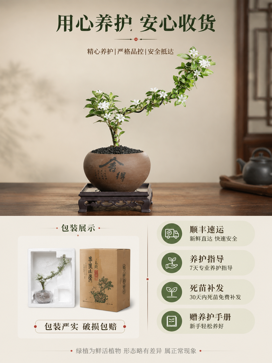 [主图-5] 悬崖六月雪盆景规格展示与服务保障图，促进下单决策… - 图片创意预览