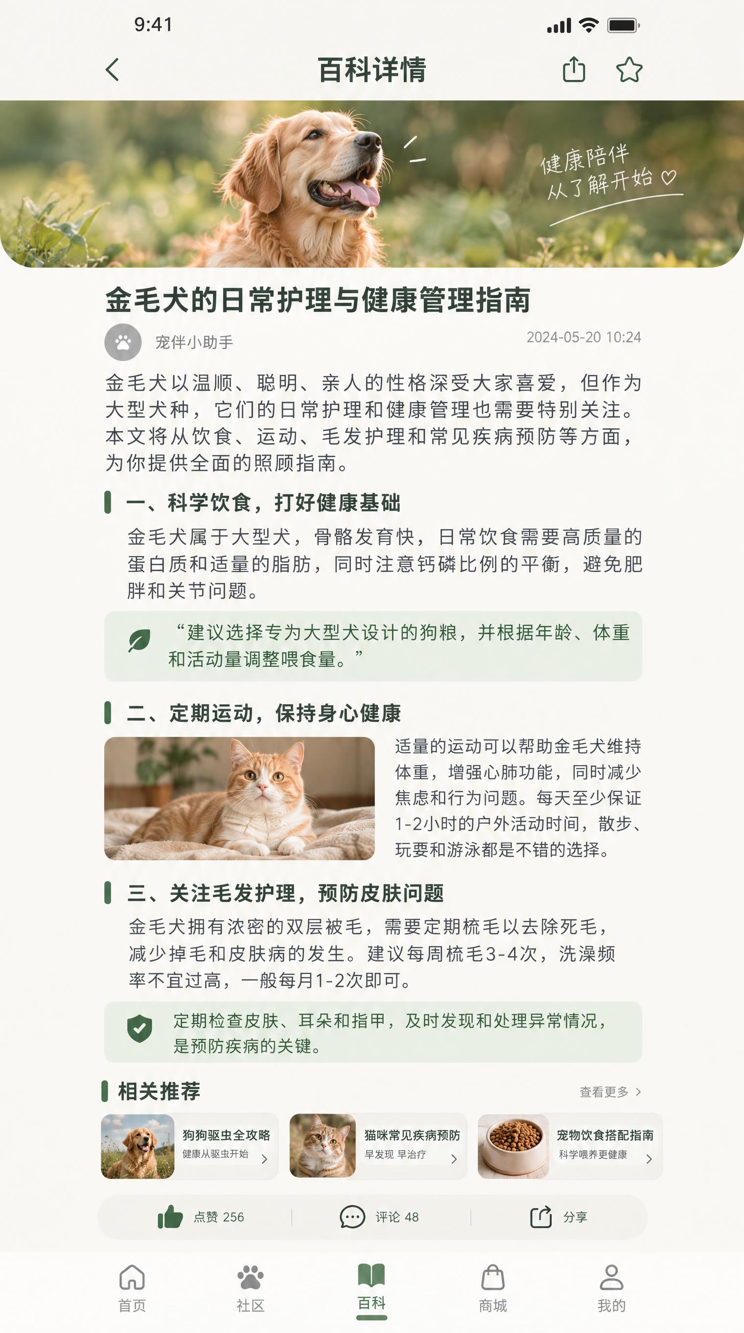 微信小程序UI设计规范稿，宠物APP「宠伴」百科详情页，750… - 图片创意预览