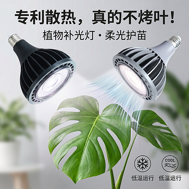 灯光变成5000K色温
