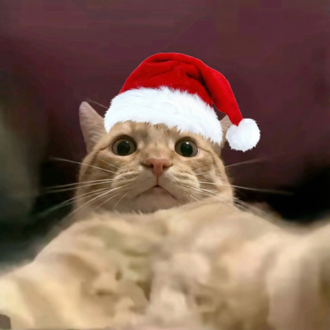 其他的都不动，帮主体戴上圣诞帽预览效果