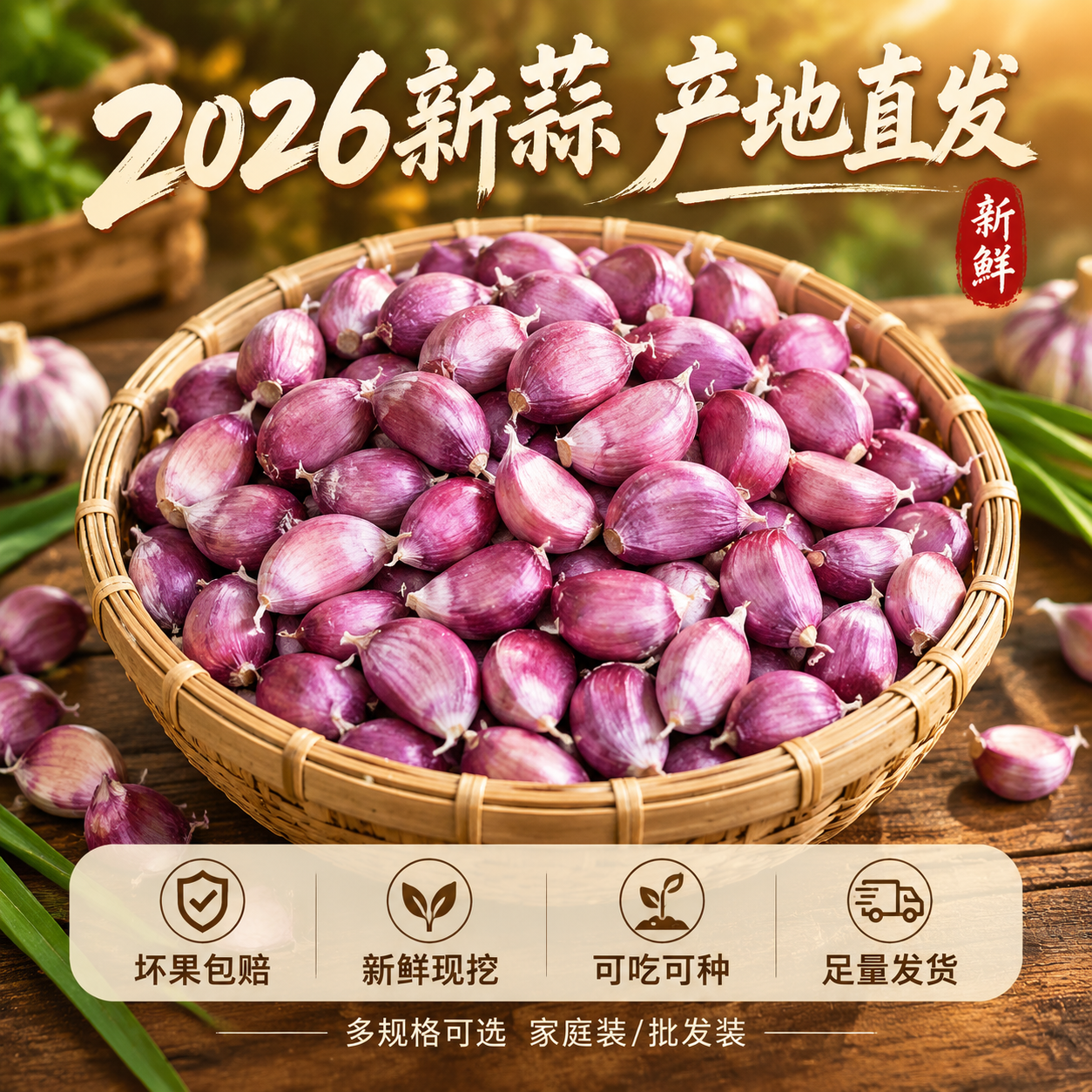 [主图-5] 规格与服务承诺，促进转化下单，展示多用途价值。… - 图片创意预览