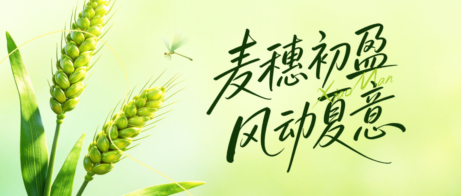 小满节气祝福通用清新感公众号首图预览效果