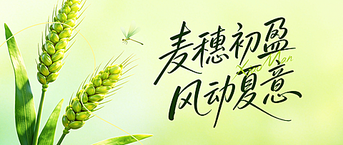 小满节气祝福通用清新感公众号首图