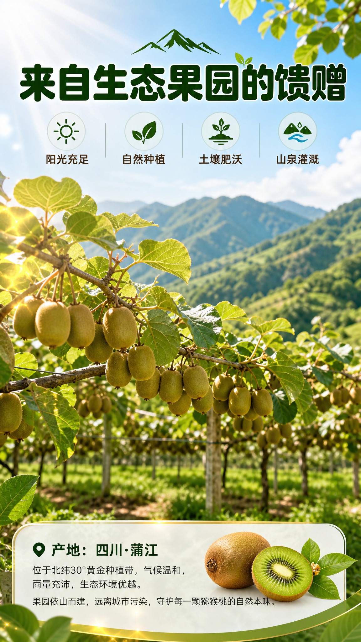 [商品] 绿心猕猴桃果园场景，猕猴桃藤架上挂满果实，绿叶繁茂，… - 图片创意预览