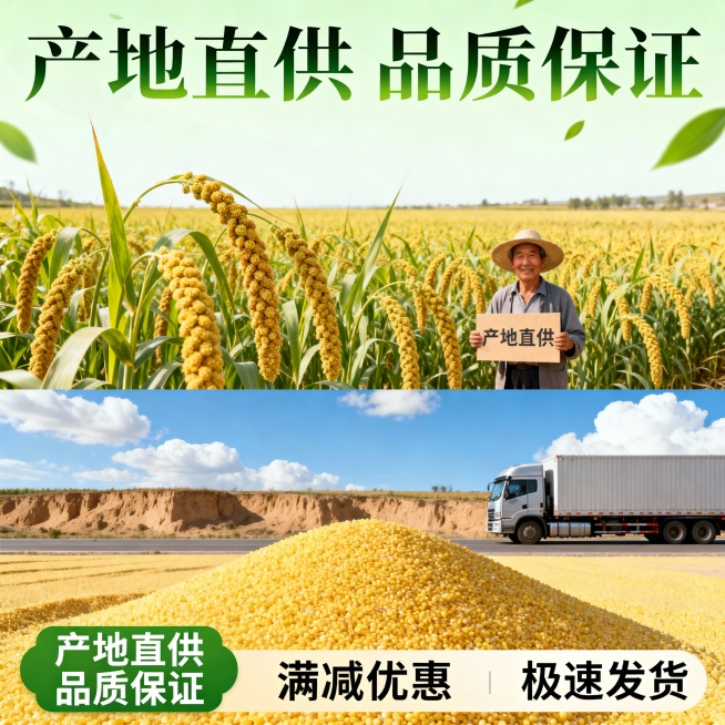 我的产品是山西黄小米 帮我做20张拼多多高级主图预览效果