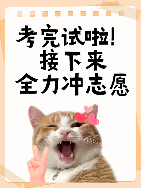 高考志愿填报知识分享吸睛大字表情包小红书封面预览效果