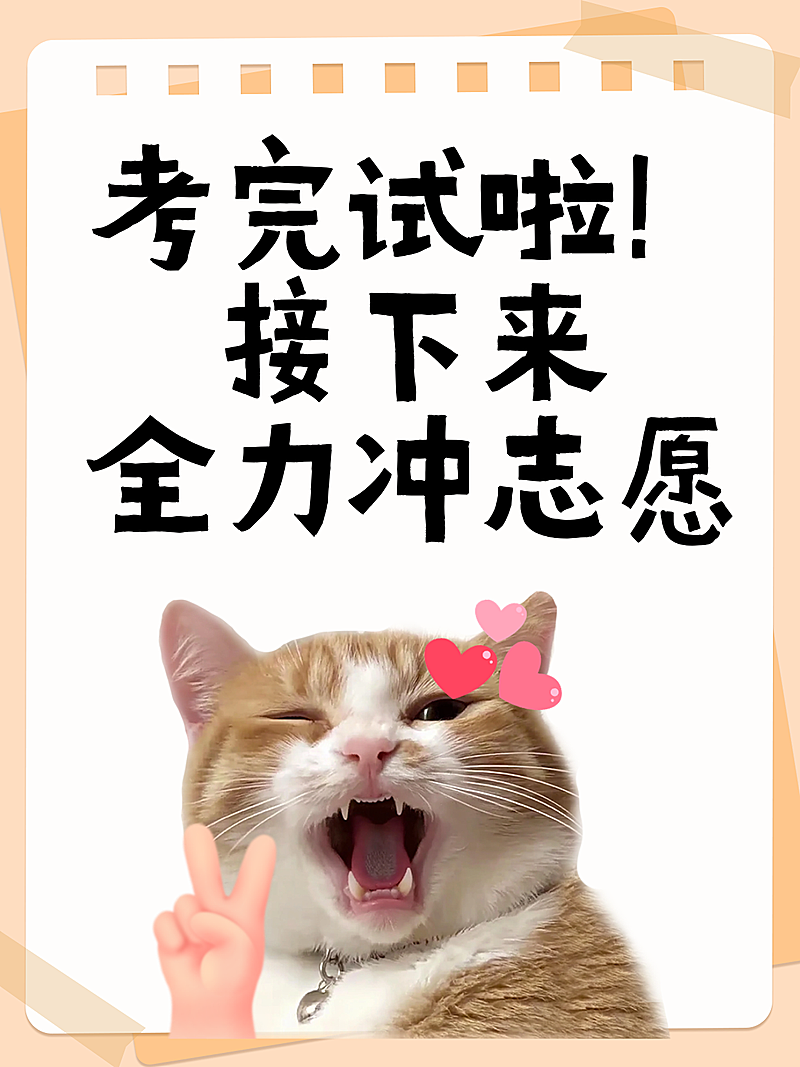 高考志愿填报知识分享吸睛大字表情包小红书封面