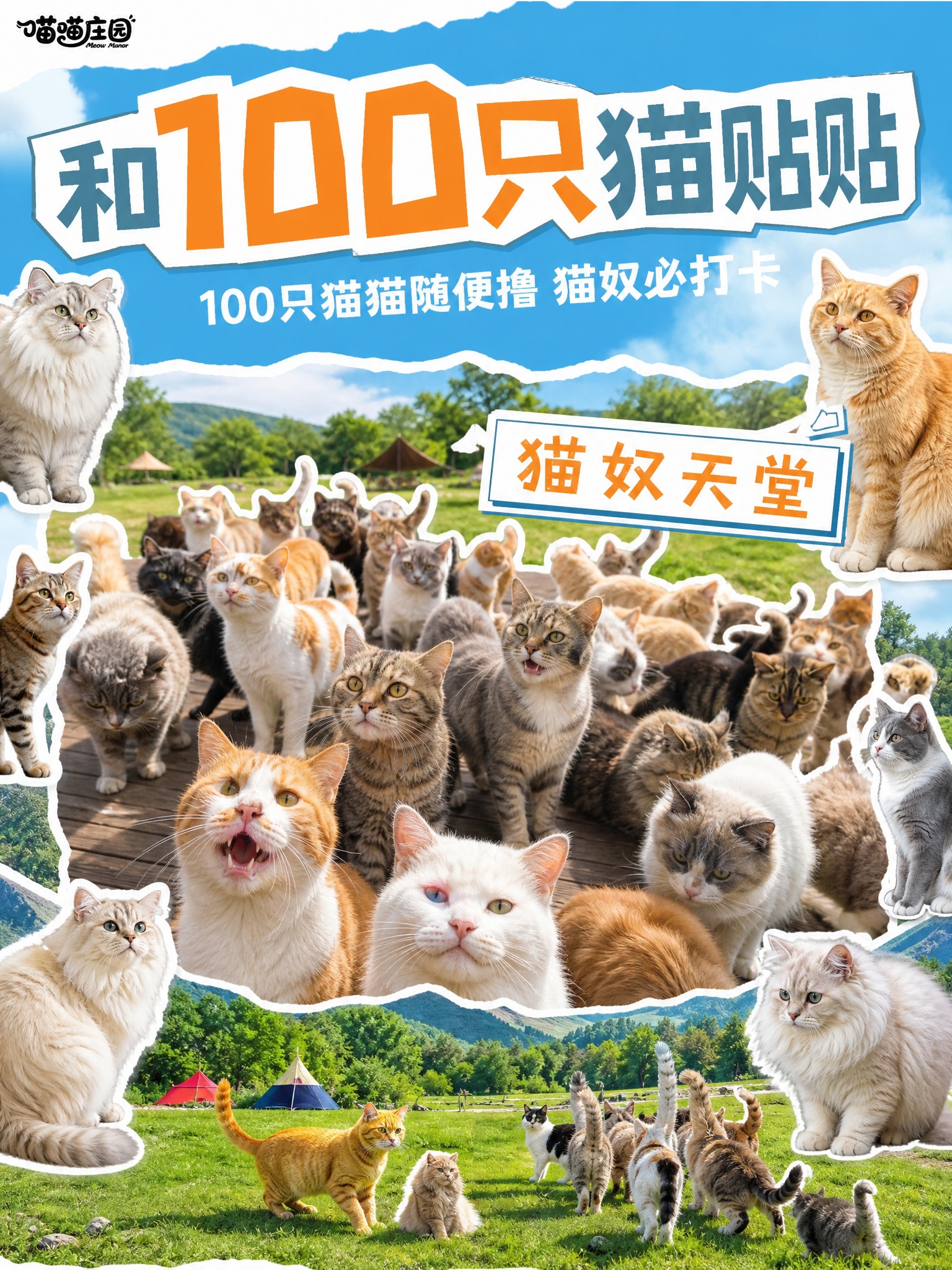小红书内页图，完全按照用户上传参考图的风格：蓝天白云撕纸撕边、… - 图片创意预览