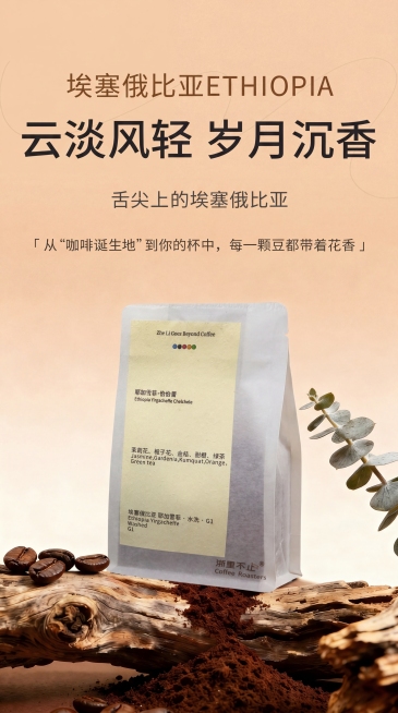 保留原图所有背景元素：浅米色背景、顶部所有文字「埃塞俄比亚ETHIOPIA」「云淡风轻 岁月沉香」「舌尖上的埃塞俄比亚」「「从“咖啡诞生地”到你的杯中，每一颗豆都带着花香」」，保留下方的枯木、咖啡豆、预览效果