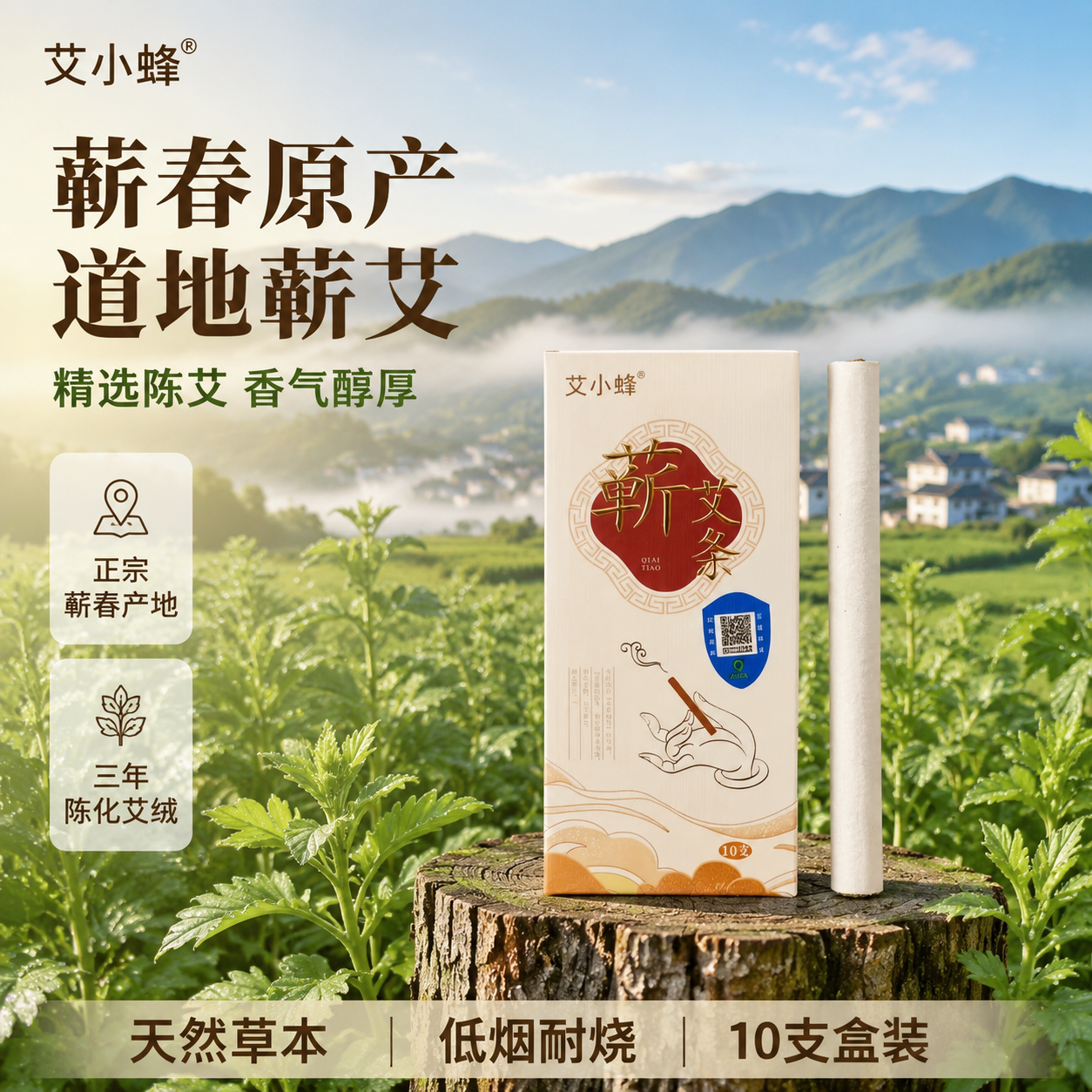 [主图-2] 艾草产地自然场景主题，蕲艾条原料溯源氛围展示。… - 图片创意预览