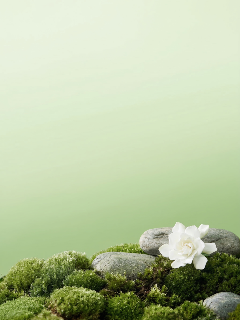 保留原图的浅绿色渐变背景、地面上的绿色苔藓、灰色石块、白色花朵，去除图片中的所有洗发水产品、文字、标签、标识，只保留干净的背景画面预览效果