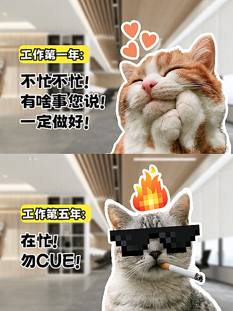 爆款趣味对比梗图小红书封面