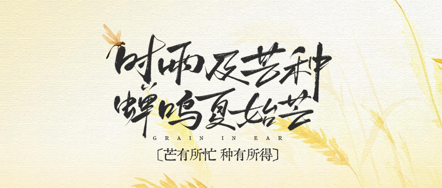 芒种节气祝福清新水彩风通用微信公众号首图预览效果