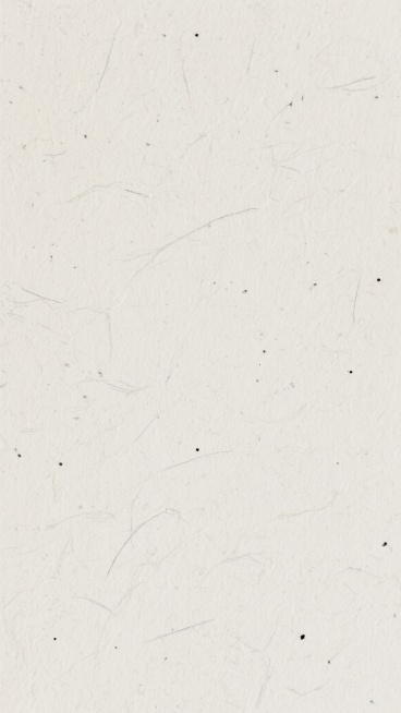 一张纯净的米白色纸张纹理背景，纸张表面带有细腻的、不规则分布的浅灰色纤维质感和细小的黑色斑点，整体呈现出自然、朴素的质感，纹理清晰且分布均匀，营造出一种简约而真实的纸纹效果。预览效果