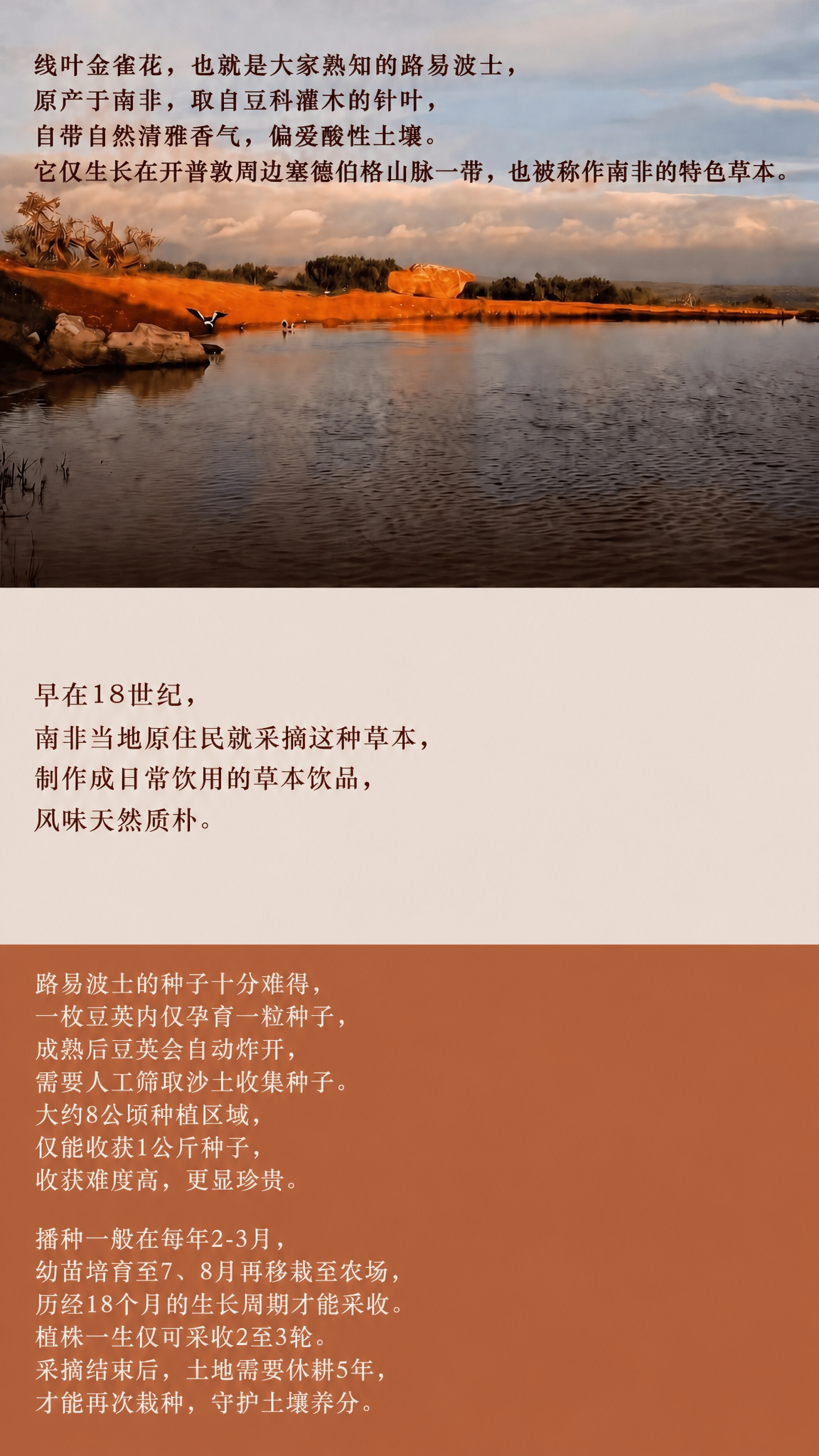 在保持原图整体版式、风景照片、三段式结构、暖棕大地色调和所有文… - 图片创意预览