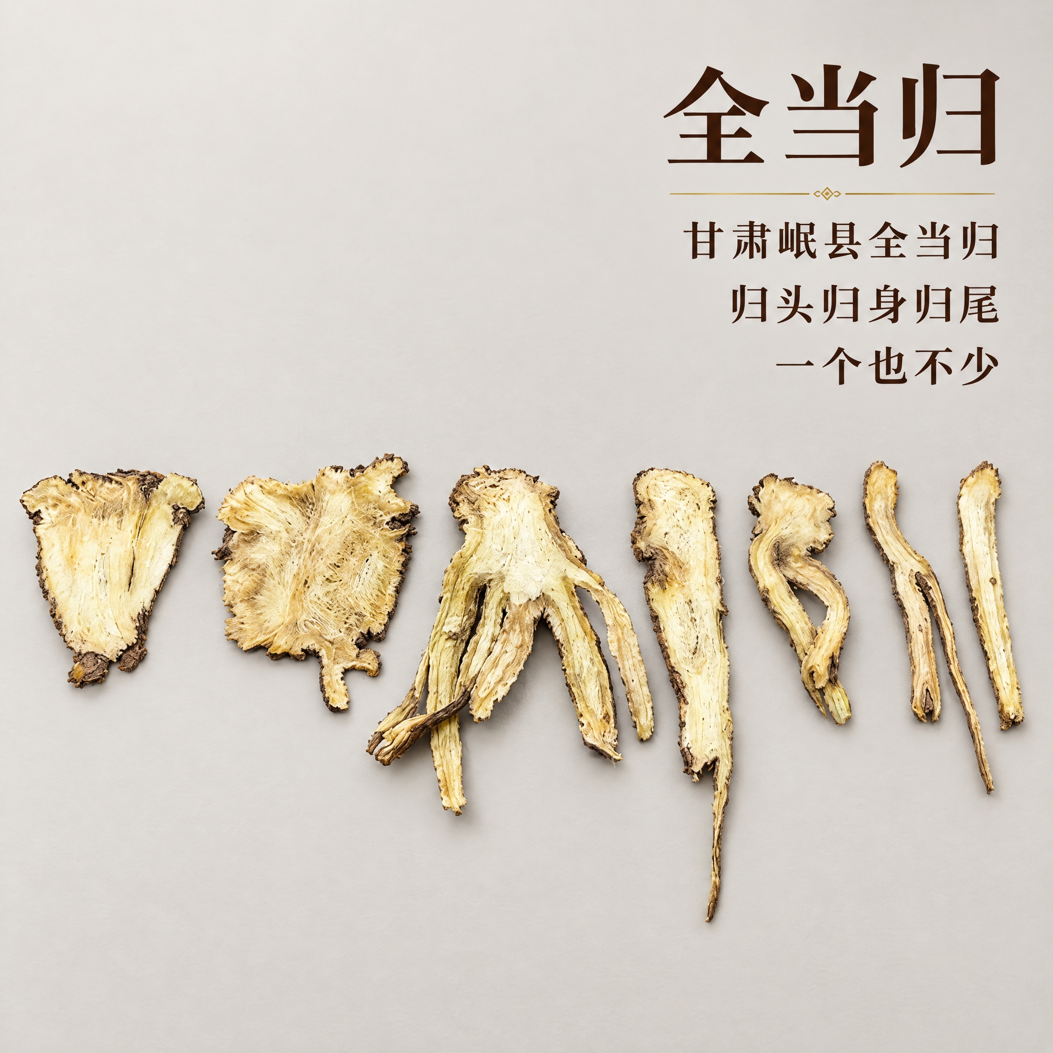 基于上传的甘肃岷县全当归素材进行主图创作，严格使用上传素材，完… - 图片创意预览