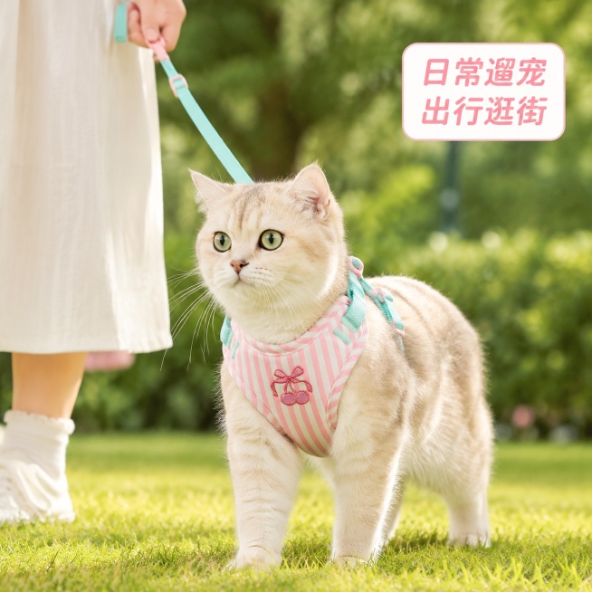 [主图-4] 条纹刺绣背心式宠物胸背带户外使用场景展示图
[氛围风格] 软萌治愈户外清新风，整体风格和全套保持统一
[画质] 商业摄影质感，光线柔和通透，产品清晰真实，画面干净高级
[元素] 主人牵着预览效果