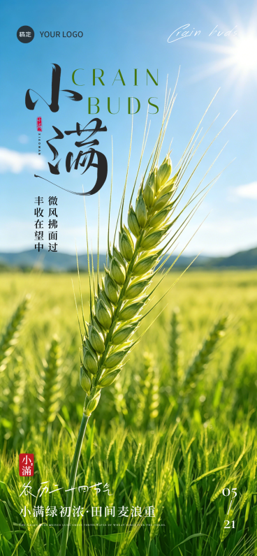 小满节气祝福麦田海报 #小满预览效果