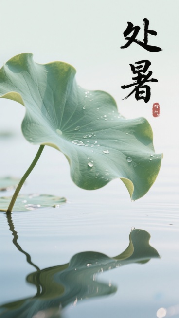 国风水墨处暑节气海报，以淡绿荷叶、水面倒影为元素，搭配毛笔字“处暑”预览效果