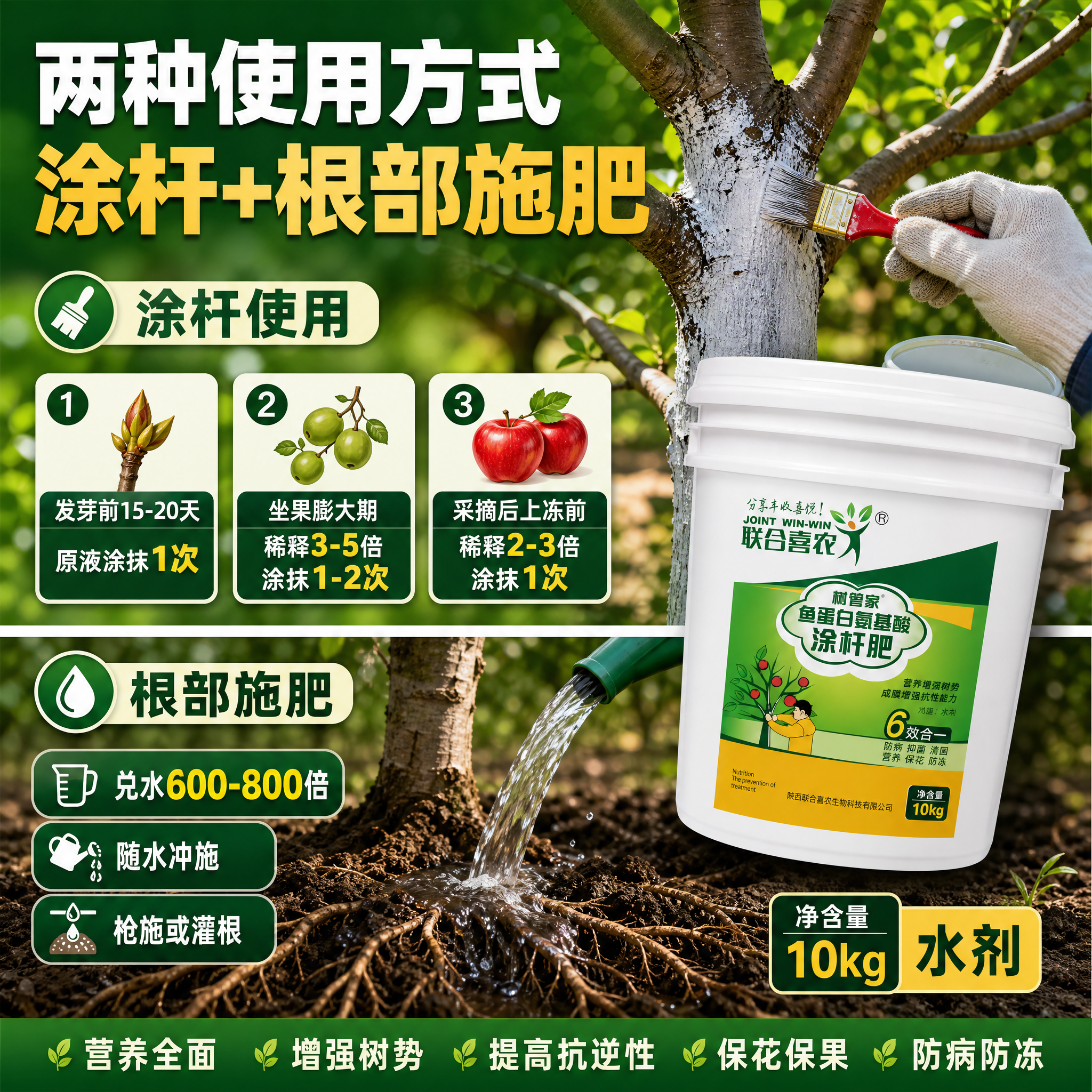 [主图-4] 联合喜农 树管家 鱼蛋白氨基酸涂杆肥 使用方法与… - 图片创意预览
