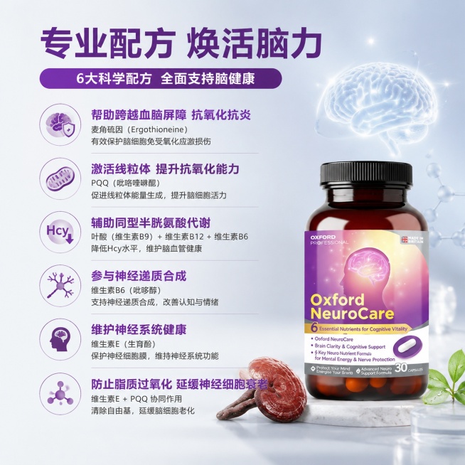 [主图-3] Oxford NeuroCare牛津脑护胶囊核心作用说明图
[氛围风格] 简约专业，清晰易懂
[画质] 商业摄影质感、光线柔和通透、产品清晰真实、画面干净高级
[元素] 产品瓶身在画面右预览效果