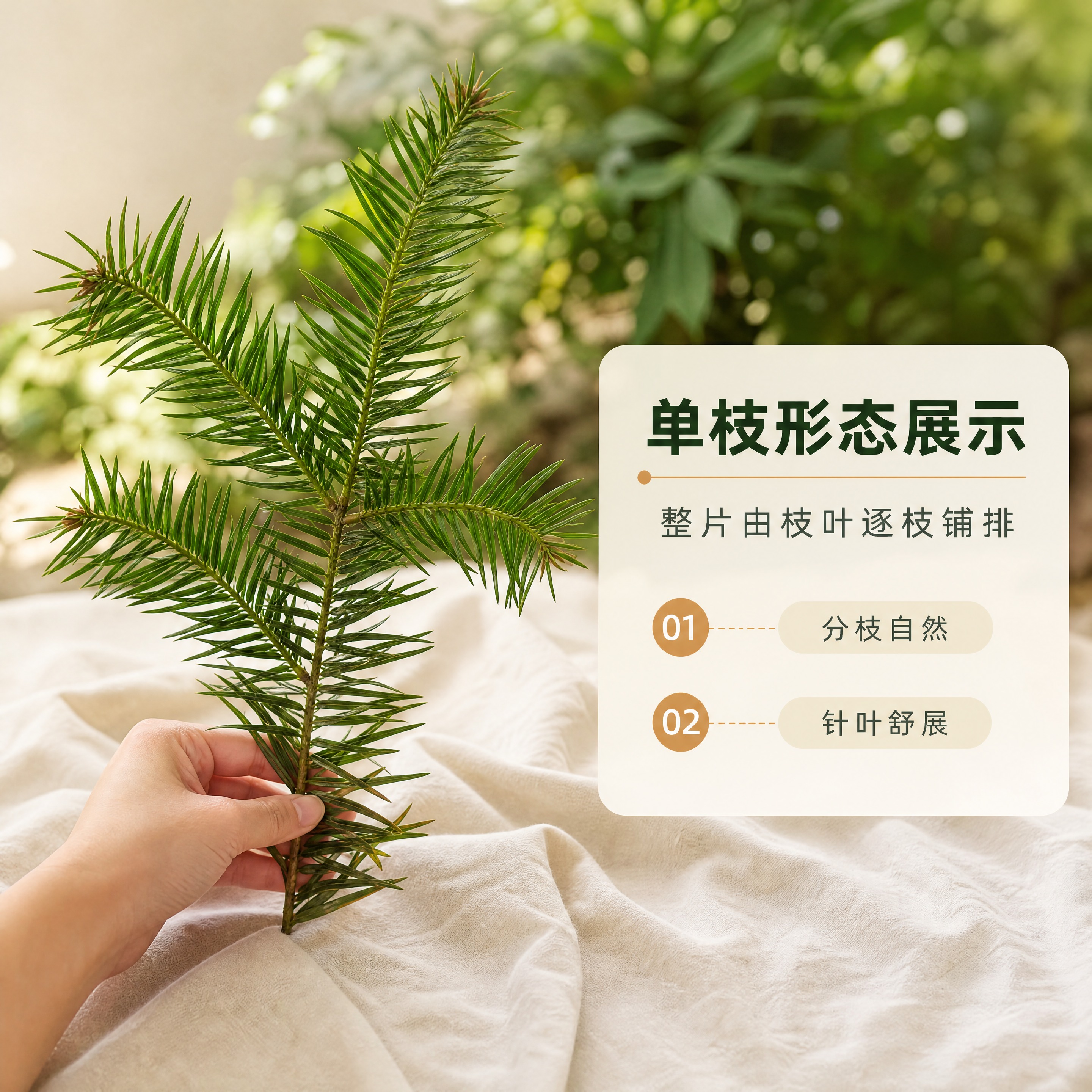 [商品] 使用【图2】手持单枝枝叶作为主体（【图1】【图4】用… - 图片创意预览