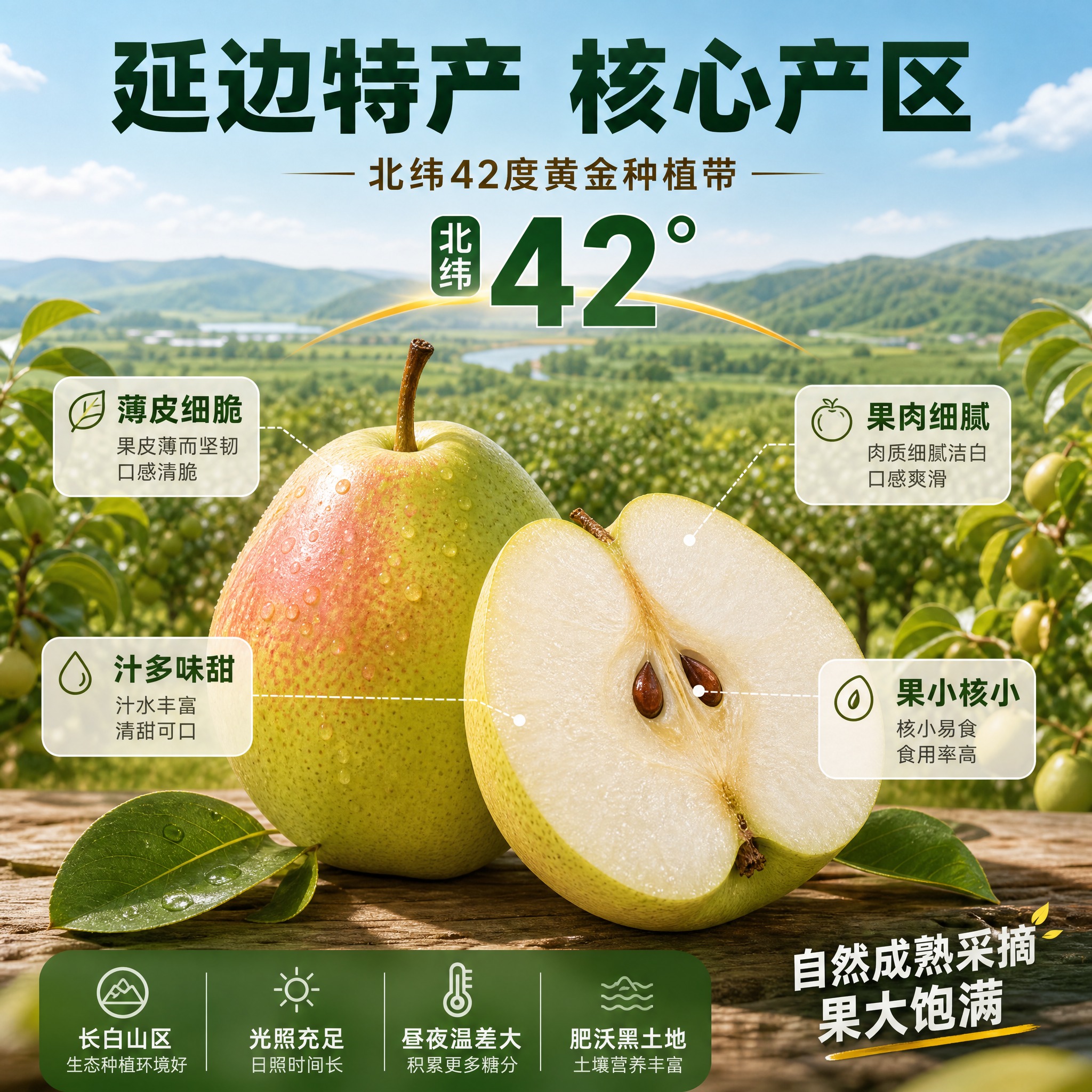[主图-2] 产地溯源与核心卖点图，展示延边苹果梨的产地优势与… - 图片创意预览