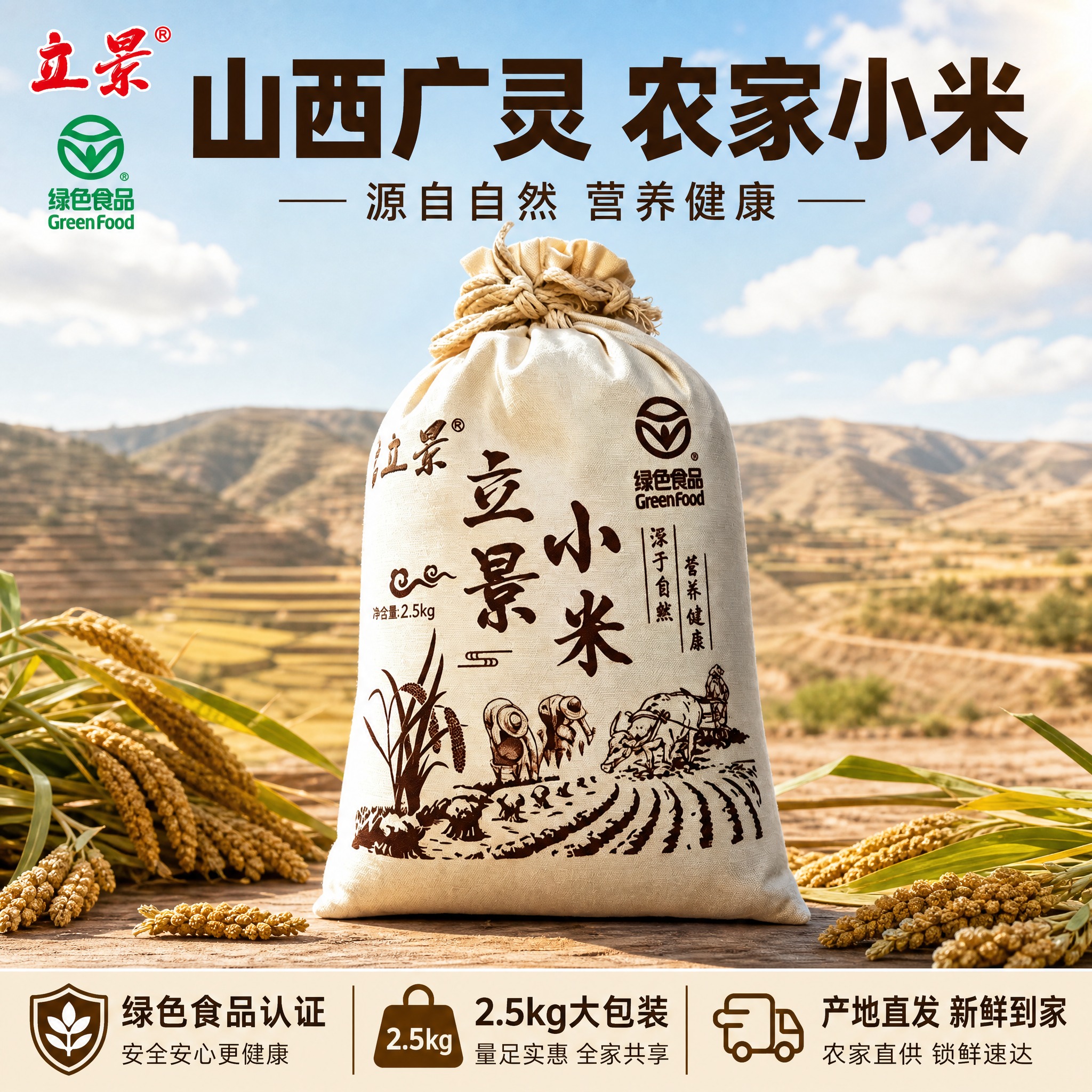[主图-2] 布袋装小米首图，核心任务是展示2.5kg布袋装产… - 图片创意预览