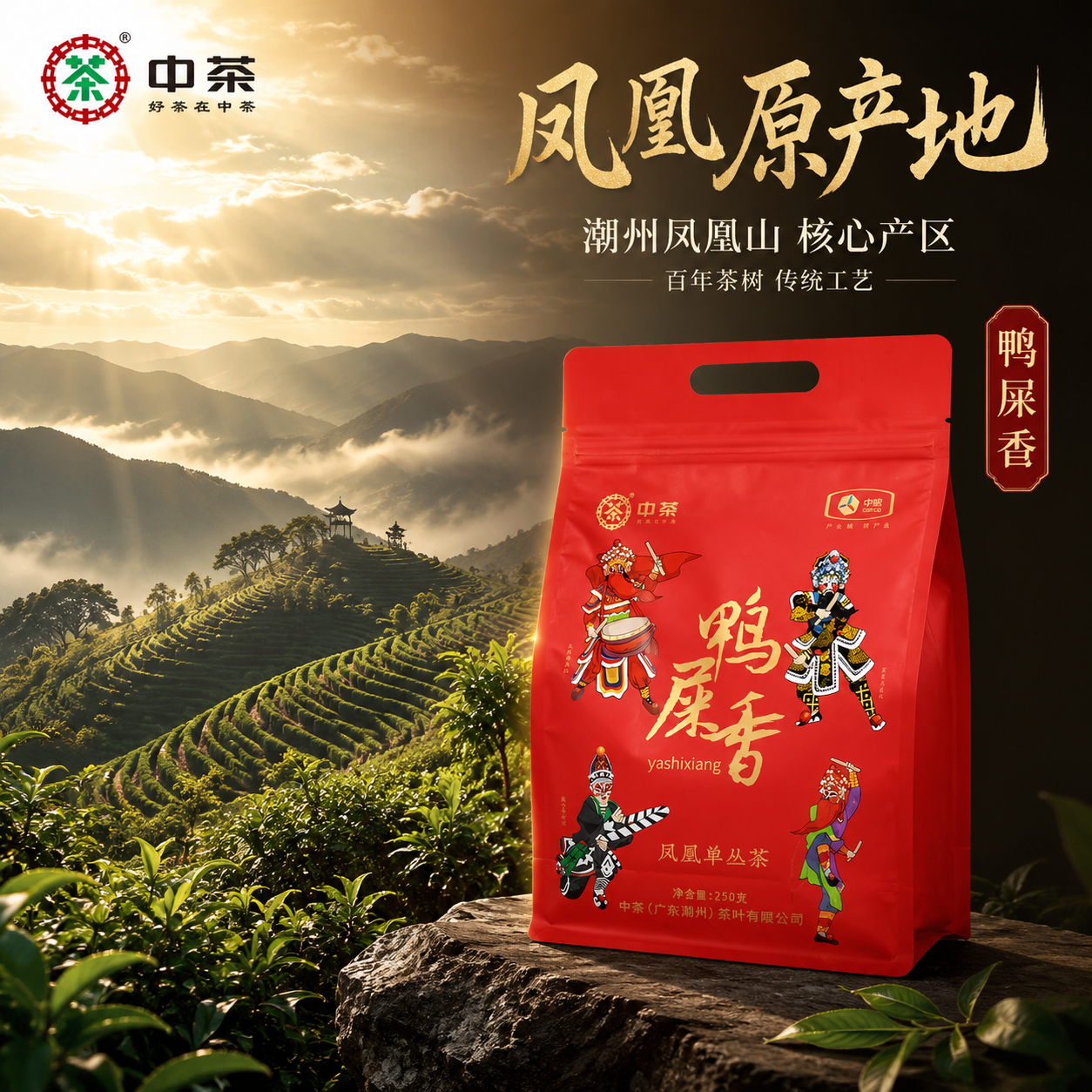 [主图-2] 核心亮点溯源 中茶鸭屎香凤凰单丛茶 潮州凤凰山产… - 图片创意预览