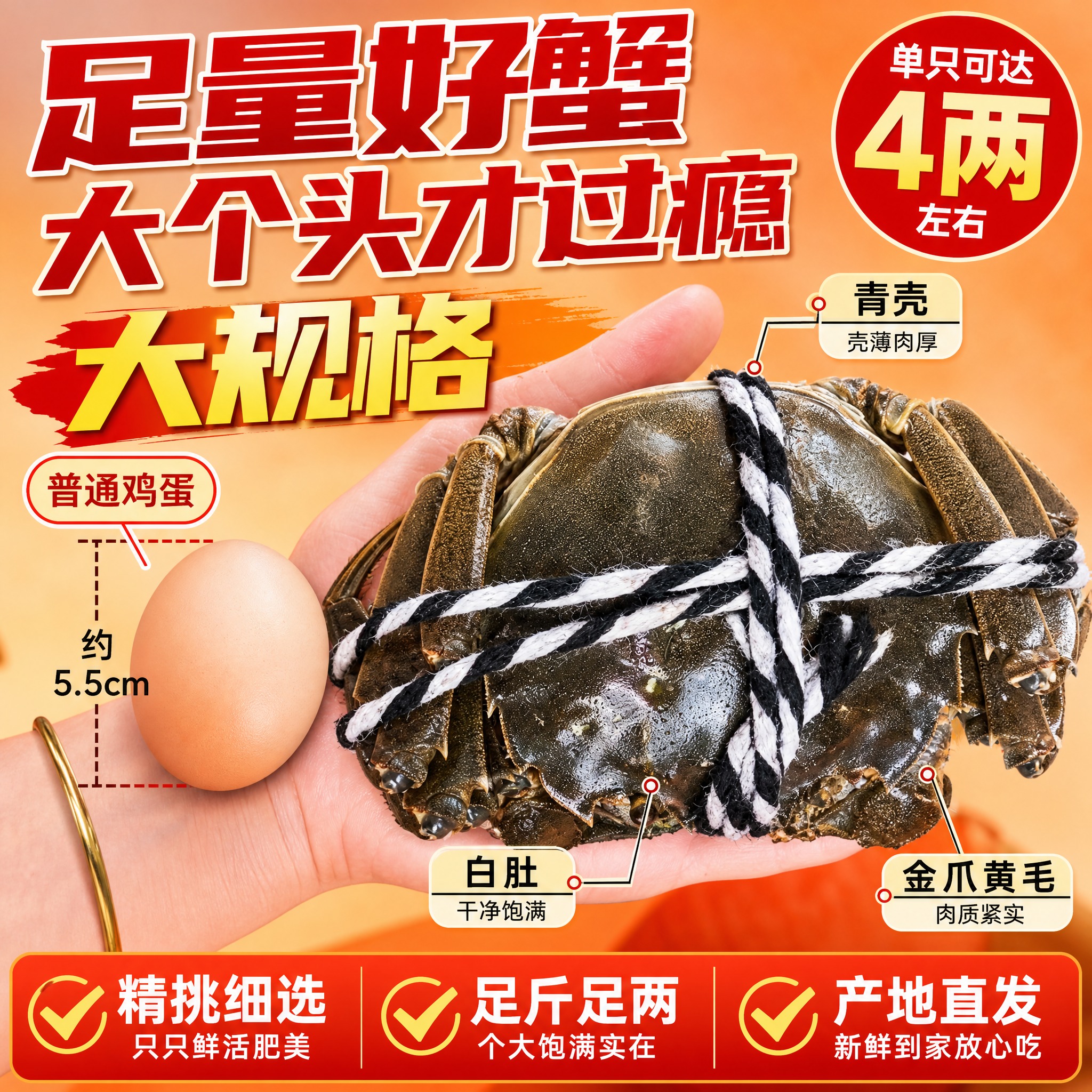 [主图-2] 大闸蟹个头对比图 突出足量大规格 拼多多爆款风格… - 图片创意预览