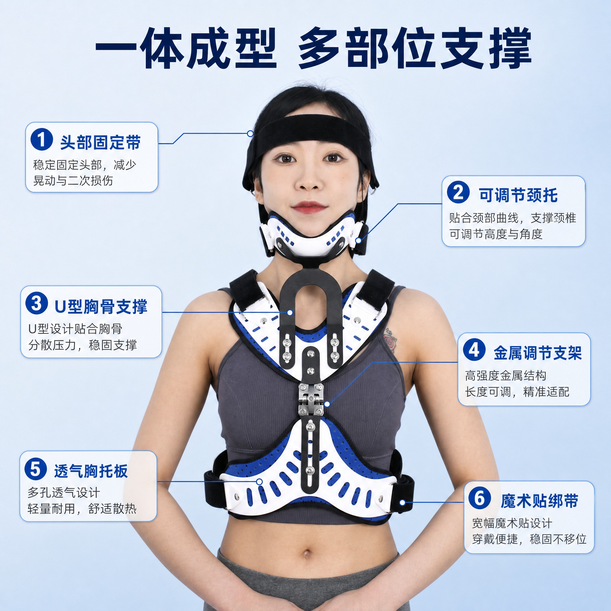 [主图-2] 结构解析主图，讲透头颈胸一体支撑结构，用引线标注… - 图片创意预览