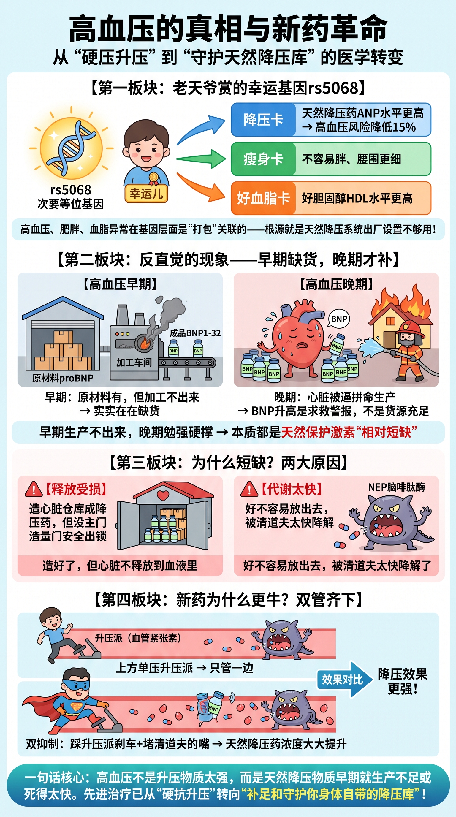一张关于高血压新机制与新药原理的科普长图，采用生动的扁平化卡通… - 图片创意预览