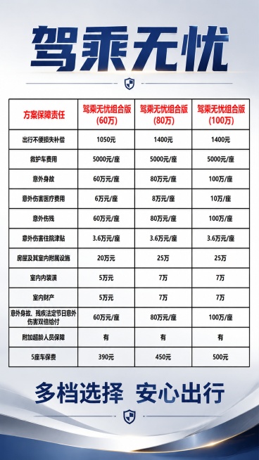 为这张驾乘无忧保障方案表格制作宣传海报，顶部添加主标题“驾乘无忧”，底部添加副标题“多档选择 安心出行”，保留原图所有表格文字和内容不变，不做任何修改，整体使用正式商务风格，背景添加浅灰渐变，营造专业预览效果