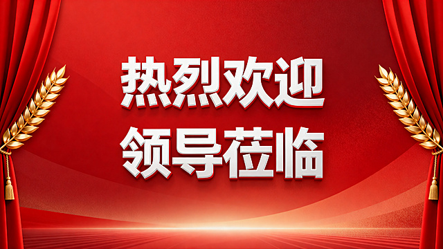 热烈欢迎领导莅临背景图，大气庄重的商务风格，红色渐变背景，中间带有醒目的"热烈欢迎领导莅临"白色立体艺术字，两侧装饰红色幕布和金色麦穗图案，整体简洁正式，适合会议活动使用，高清