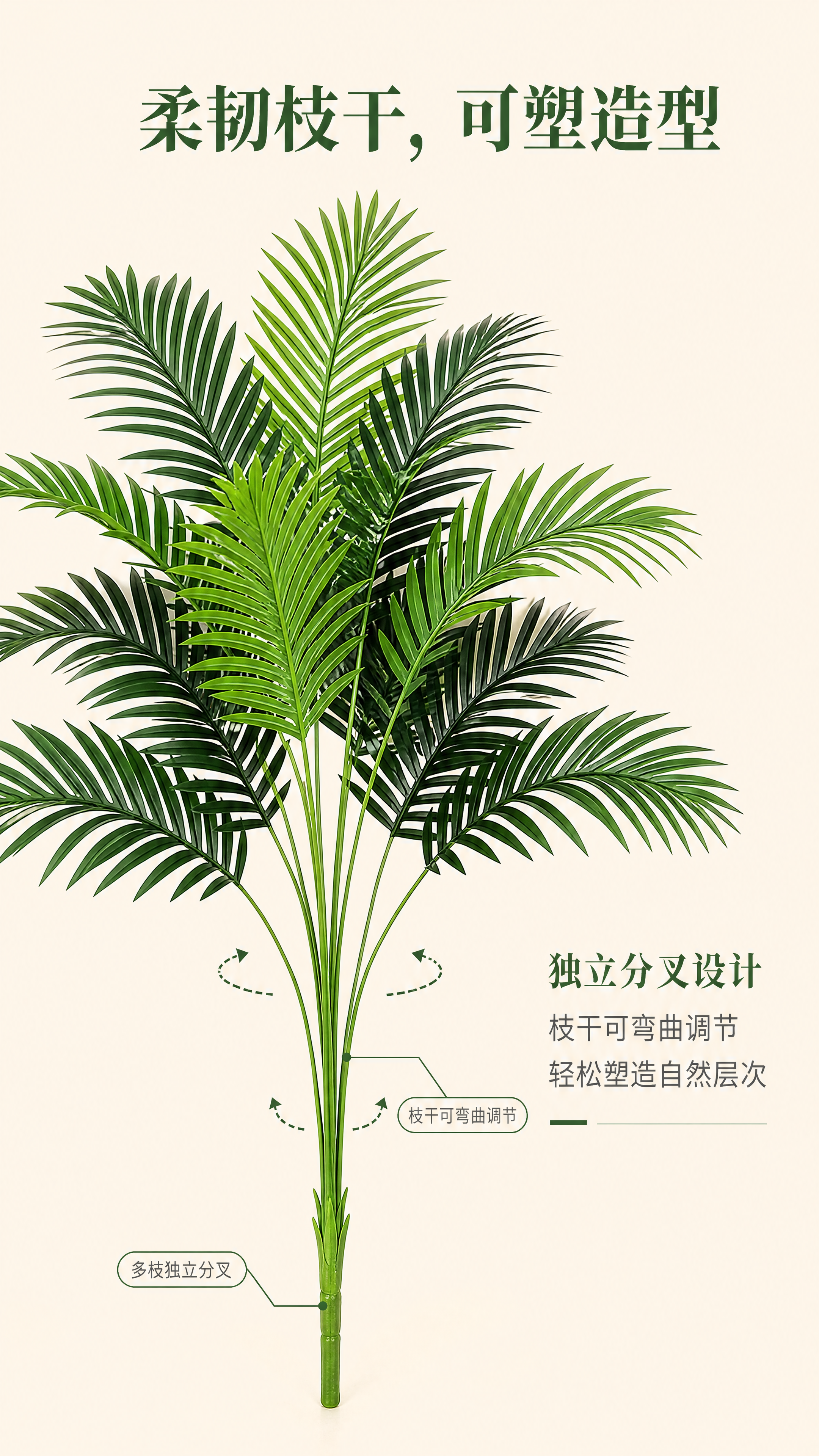 [第5屏] 枝干结构展示，呈现仿真散尾葵形态特性。本屏使用【图… - 图片创意预览