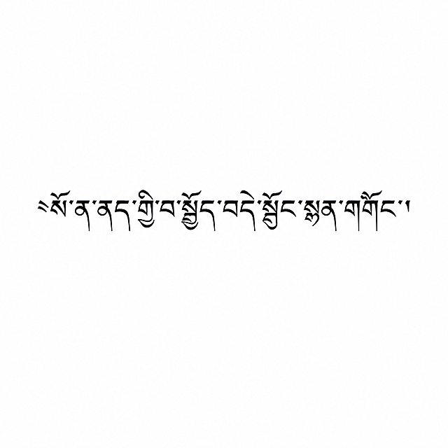 纯白色背景上，正中间清晰放置藏文文字 "སོ་ན་ནད་ཕྱིར་སྤྱོད་བདེ་སྐྱོང་སྨན་གཞོང་"，文字清晰可辨，整体画面干净简洁