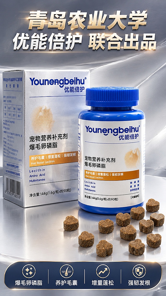 高端大气宠物爆毛卵磷脂产品海报，高级银色渐变背景带金属拉丝质感，视觉冲击力强，画面布局：左侧银色反光外包装盒，中间蓝色产品瓶，右下方散落心形棕色颗粒内容物特写，银色包装盒有镜面反光效果，蓝色瓶身光泽细腻，内容物颗粒纹理清晰，最上方用超大加粗字体突出"青岛农业大学 优能倍护 联合出品"，下方展示核心卖点：爆毛卵磷脂、养护毛囊、增量蓬松、强韧发根，专业美妆级产品摄影，高级质感，光影立体，2K超清