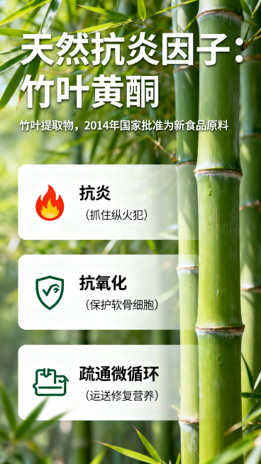 PPT产品介绍页面，标题"天然抗炎因子：竹叶黄酮"，标注来源"竹叶提取物，2014年国家批准为新食品原料"，列出三个功效带图标：🔥抗炎（抓住纵火犯）、🛡️抗氧化（保护软骨细胞）、🚚疏通微循环（运预览效果