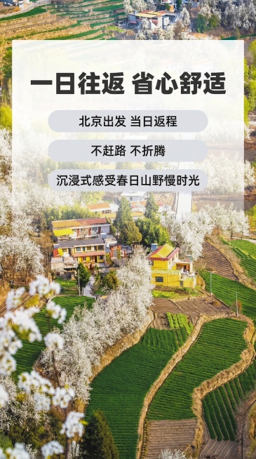 确认预览效果