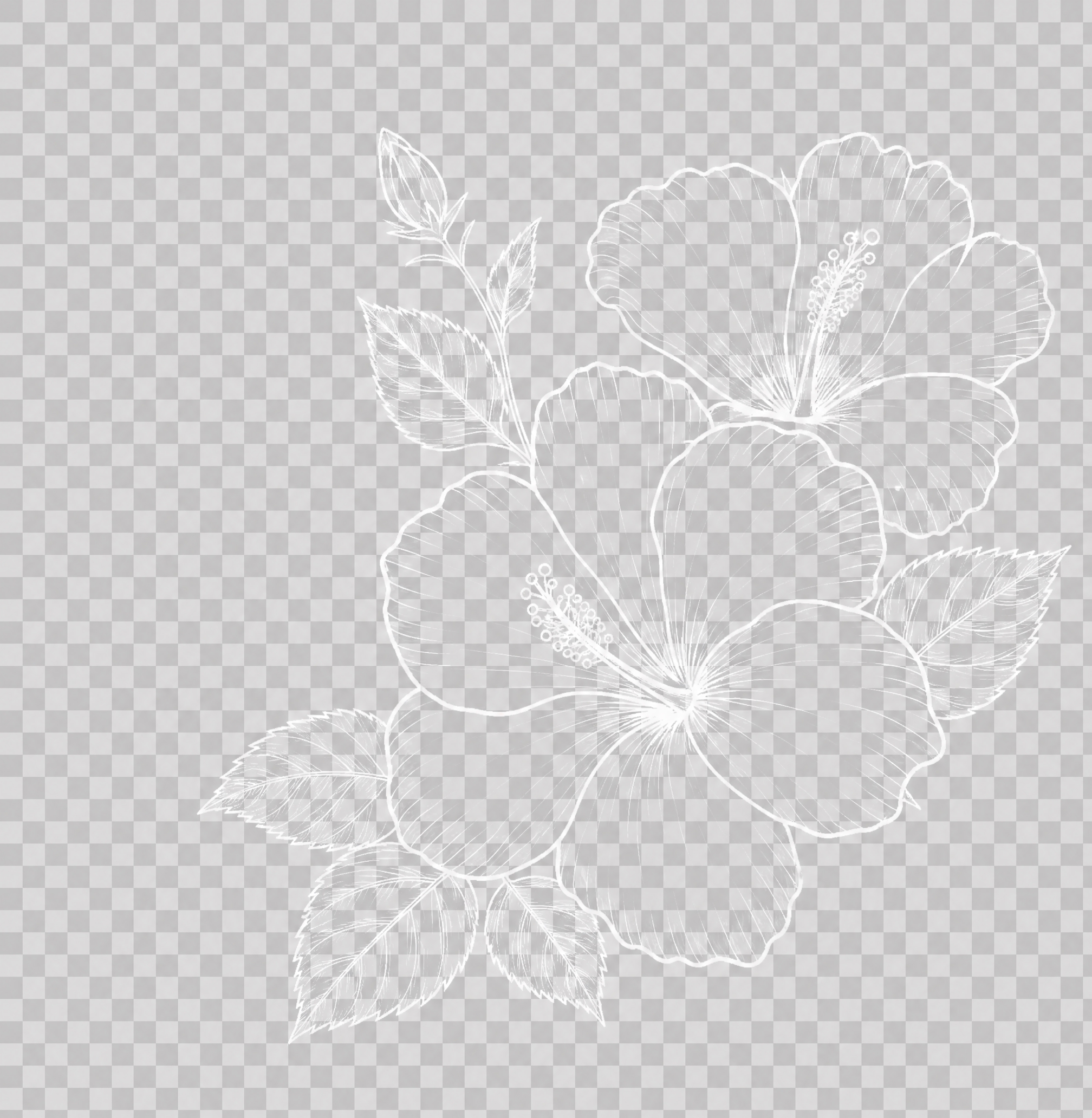 从参考图中提取右下角的花朵线稿，白色线描风格的花朵和叶子，木槿… - 图片创意预览