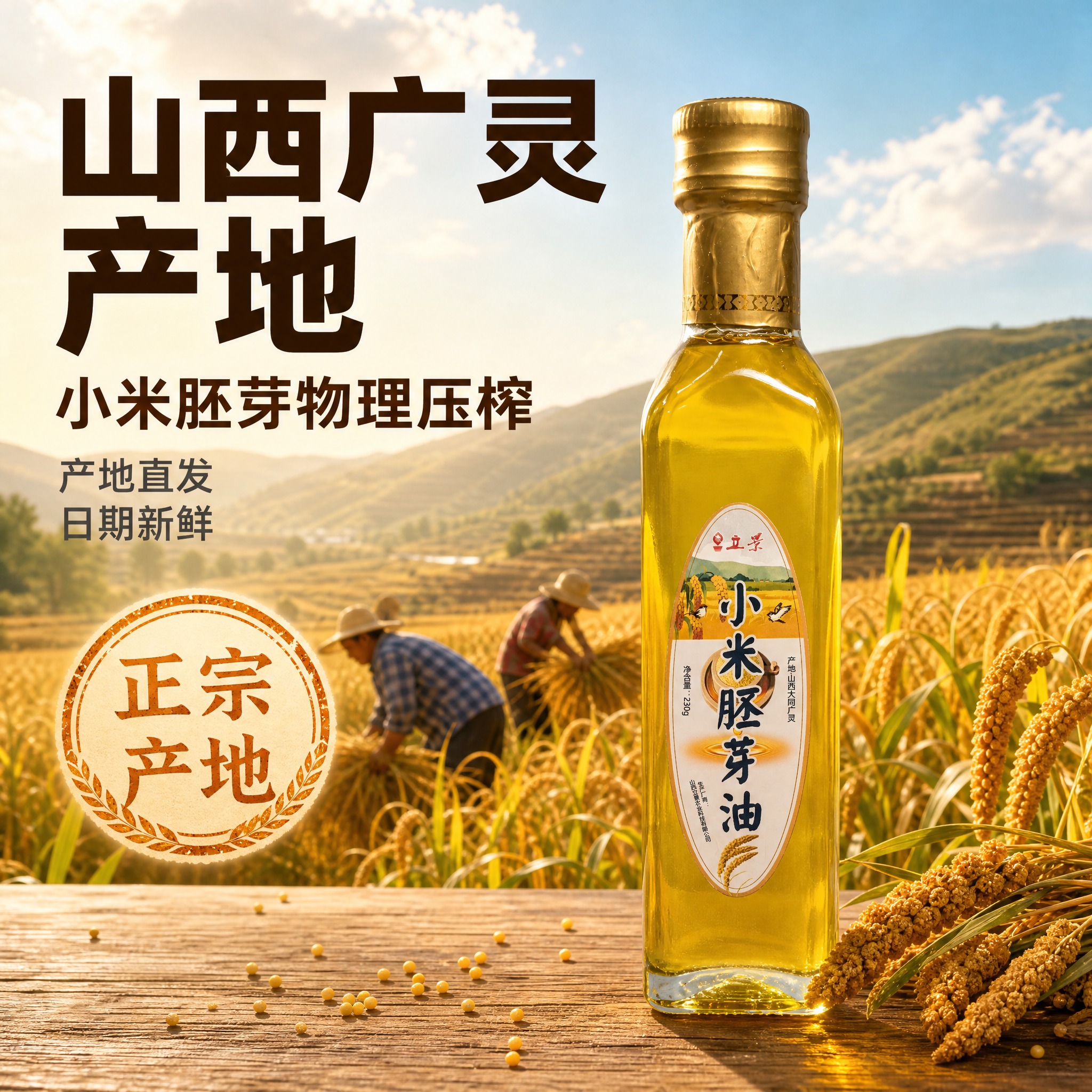 [主图-2] 产地溯源图 小米胚芽油 山西大同广灵产地 物理压… - 图片创意预览