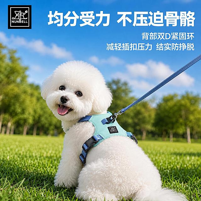宠物胸背带主图，草坪场景，比熊犬。
画面内容：一只纯白色的高颜值比熊犬，毛发蓬松柔软像棉花糖，圆圆的大眼睛乌黑明亮，笑容甜美治愈，坐在翠绿的草坪上，身体侧对镜头、背部朝向观众，头部转向左前方看向镜头，开心微笑吐舌。身上穿戴薄荷绿+灰蓝色NUNBELL胸背带，背部D形环、品牌标签、调节卡扣、透气网布纹理清晰可见，产品外观与参考图完全一致。一条灰蓝色牵引绳连接在背部D环上，向右上方延伸出画面。
背景：晴朗蓝天，少量白云，远处虚化的绿树和公园景色，阳光明媚，草地翠绿有光影层次。
文字版式：左上角黑色方形NUNBELL品牌Logo。画面上方居中大标题"均分受力 不压迫骨骼"，白色粗体大字。大标题右下方两行小字："背部双D紧固环""减轻插扣压力 结实防挣脱"，白色字体。
光影：自然阳光从左上方照射，白色毛发通透有层次，胸背带材质质感真实，整体明亮通透，商业宠物摄影质感。
负向提示词：变形，面部扭曲，眼睛不对称，毛发脏乱发黄，文字错乱，水印，电商平台Logo