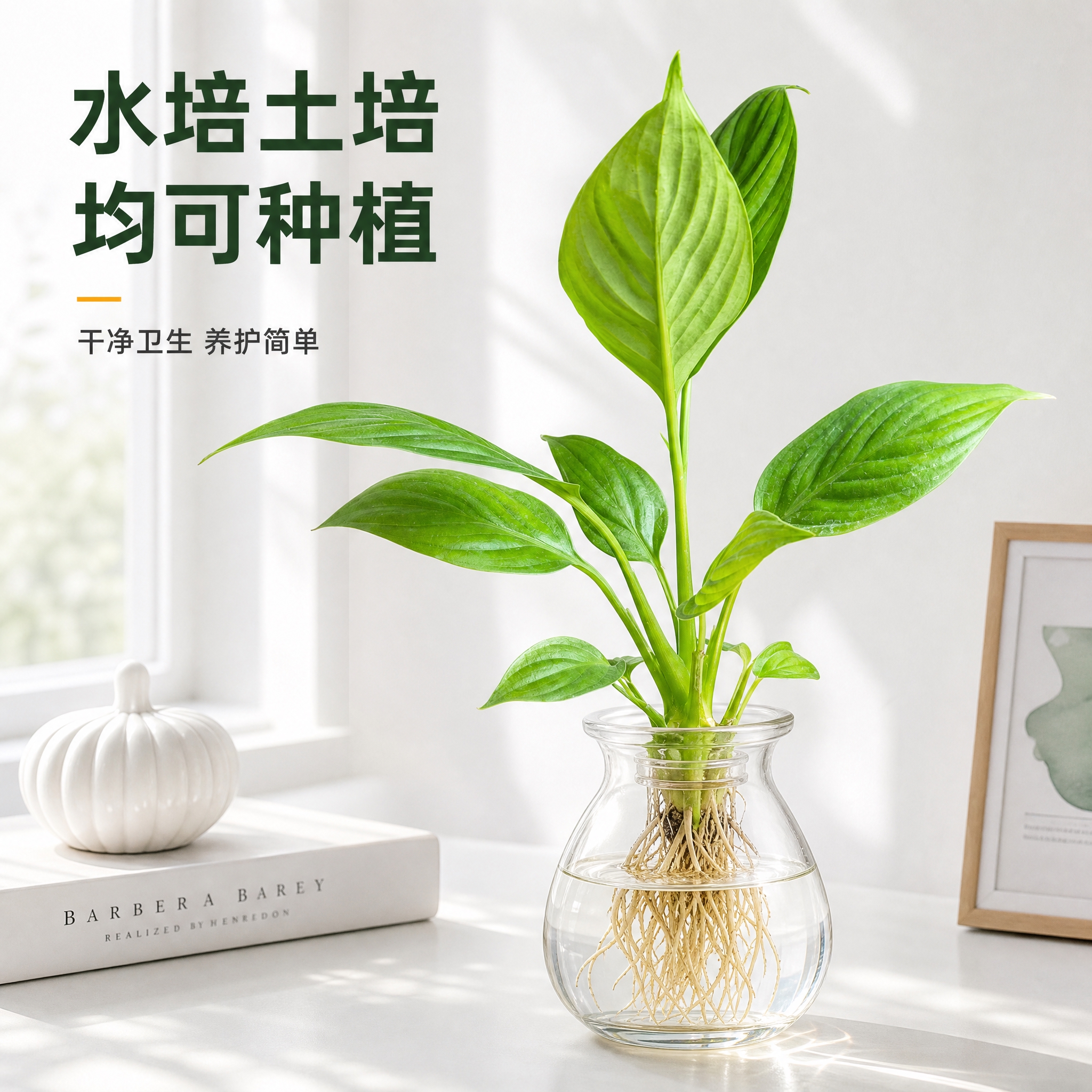 [主图-4] 美酒白掌水培场景展示图，白色简约桌面背景，高级感… - 图片创意预览
