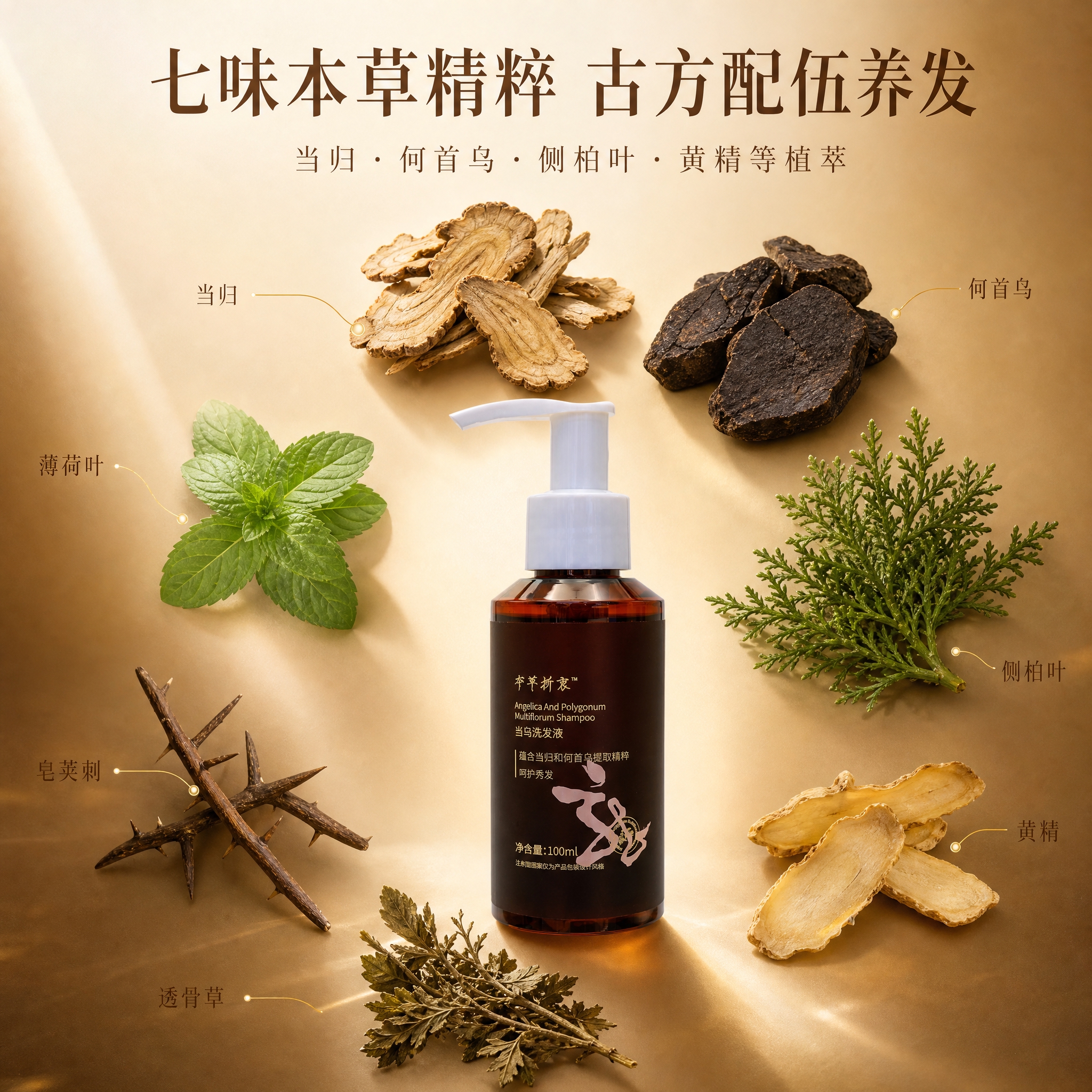 [主图-4] 核心草本成分展示，七味本草精粹古方配伍养发，呈现… - 图片创意预览