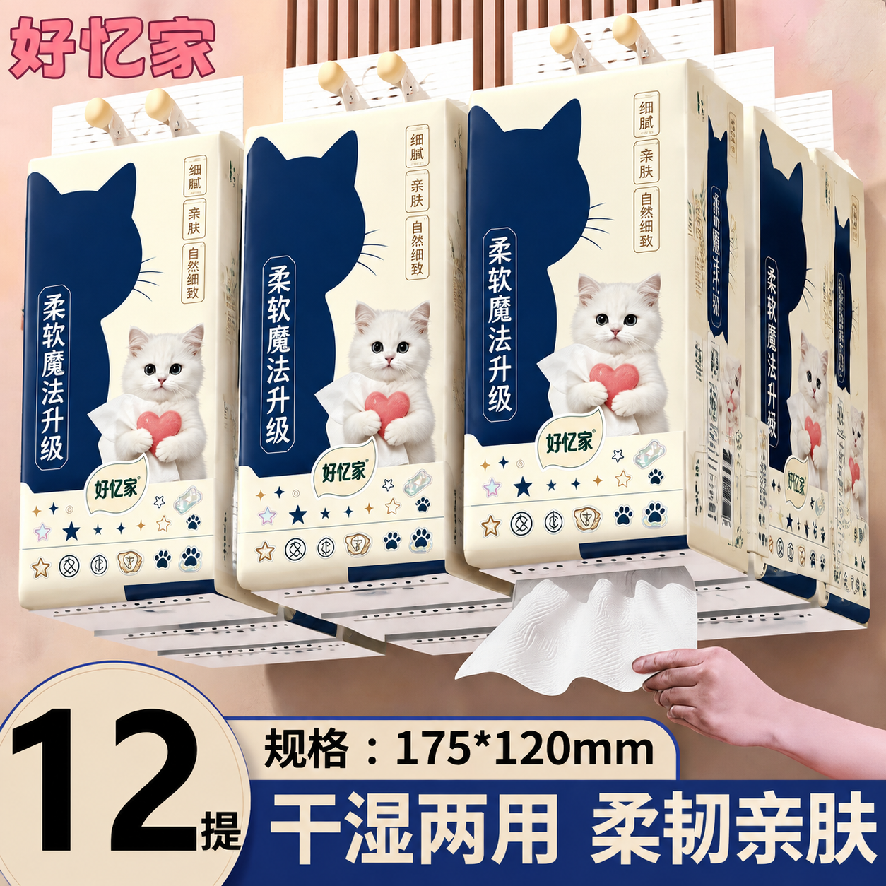 将第一张白底图中的悬挂式面巾纸包装设计完整迁移到本图中的所有悬… - 图片创意预览