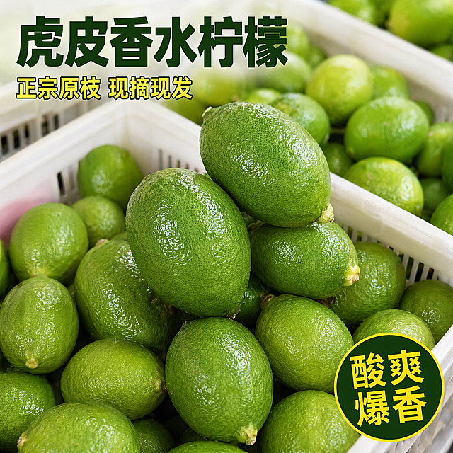 [主图-1] 虎皮香水柠檬首图 写实风格 新鲜水果点击率主图
[氛围风格] 真实自然写实风 无过度修饰 拼多多平台直白大字风格
[画质] 高清实拍质感 光线自然柔和 产品真实呈现 无滤镜失真 画面干净不杂乱
[元素] 严格保持虎皮香水柠檬的外观 物理结构 材质质感 绿色外皮 特殊凹凸纹理与输入原图完全一致 杜绝任何变形、色差或AI感 画面中多个新鲜完整的香水柠檬在白色塑料筐中自然堆放 果实饱满翠绿 表面有真实微小斑点/瑕疵 体现真实采摘状态 商品主体占比70%左右 画面满屏无边框
[光影] 自然室内光或柔光棚光 均匀明亮 不过曝 不死黑 阴影自然过渡
[配色] 主色调真实青绿色 白色筐体为中性背景 文字用深绿+明黄对比 清晰可读
[视角构图] 俯视45度拍摄 主体居中 景深适中 前景清晰背景轻微虚化
[文字版式] 左上负空间左对齐留安全边距 大字主文案写"虎皮香水柠檬" 深绿色粗体无衬线 主标题下方辅助短句写"正宗原枝 现摘现发" 明黄色字号缩小一半 右下角加圆形标签写"酸爽爆香" 深绿底黄字 所有文字不遮挡主体
[比例分辨率] 1:1比例 2k分辨率 文字清晰锐利 画面超高清
[负向提示词] AI生成感 过度磨皮 夸张光影 变形 水印 文字错乱 产品模糊 背景杂乱 文字遮挡主体