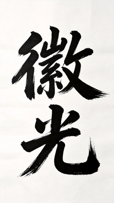 参考上传图片的字体风格，厚重粗犷苍劲毛笔书法，笔画自然延伸连接，设计“徽光”两个字上下整体融合，保持参考图的笔触风格和笔画连接结构，白色宣纸背景黑色字体预览效果
