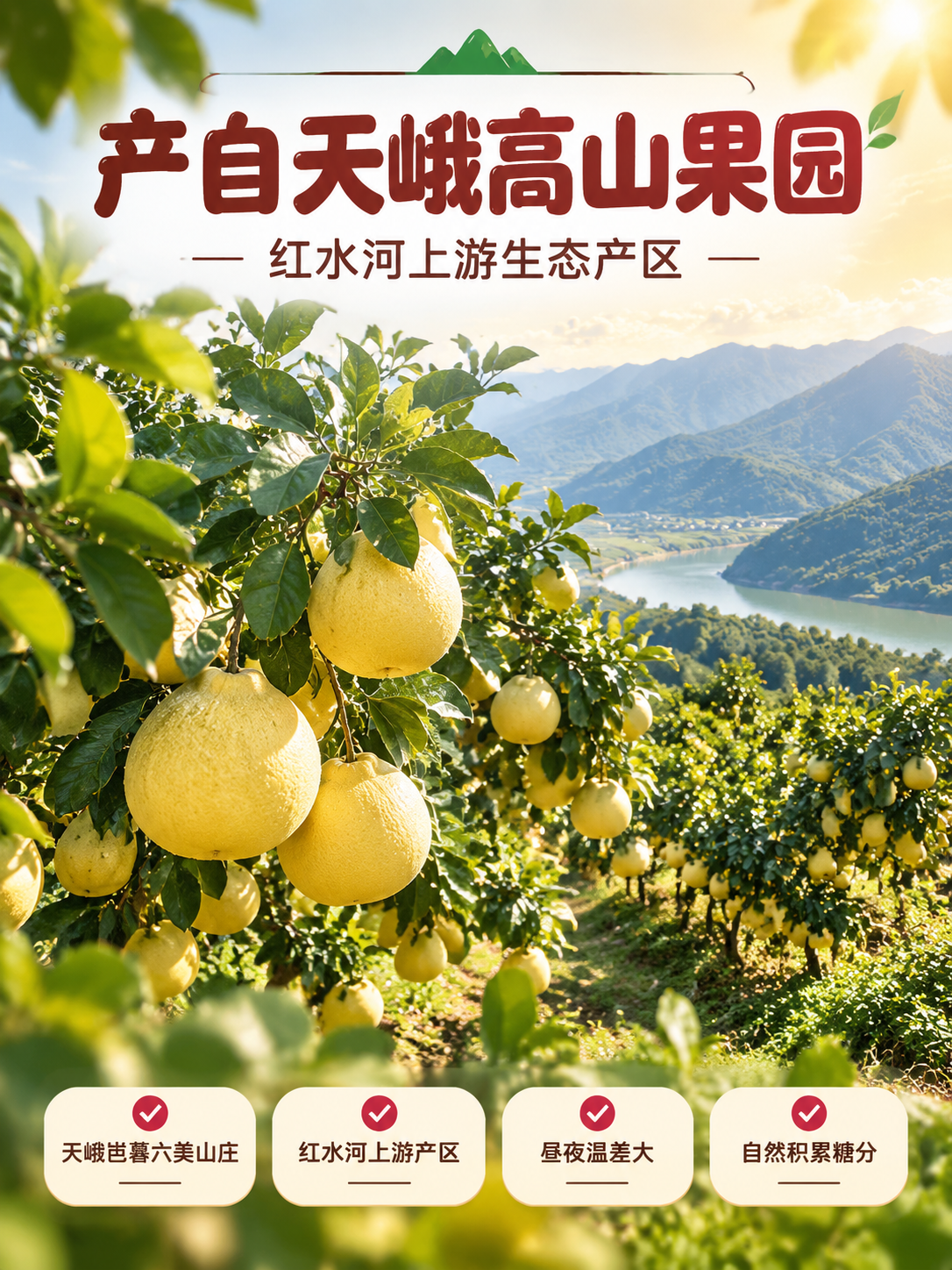 [商品] 使用【图2】【图3】天峨高山蜜柚果园挂果实拍；保留蜜… - 图片创意预览