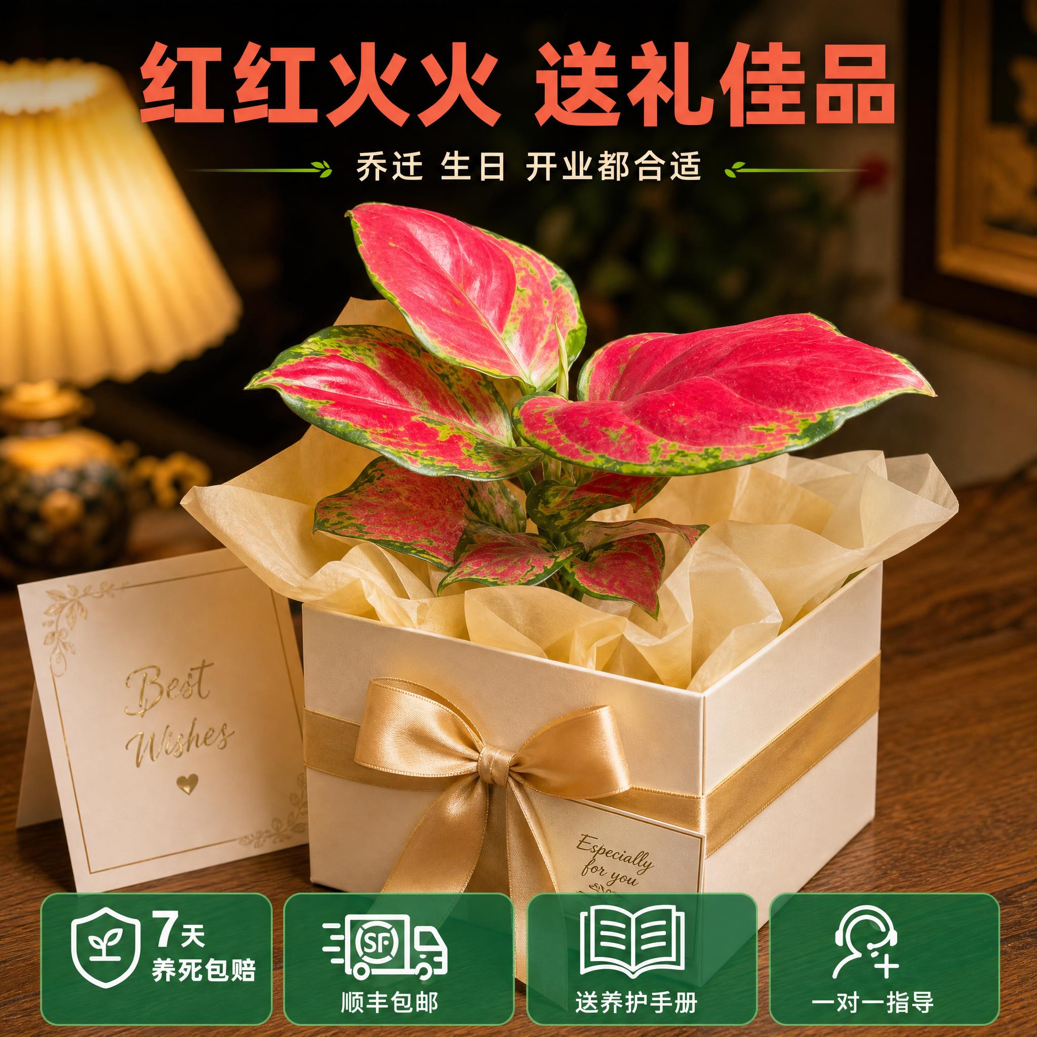 [主图-10] 送礼推荐与服务保障图 促进下单决策 [统一基调… - 图片创意预览